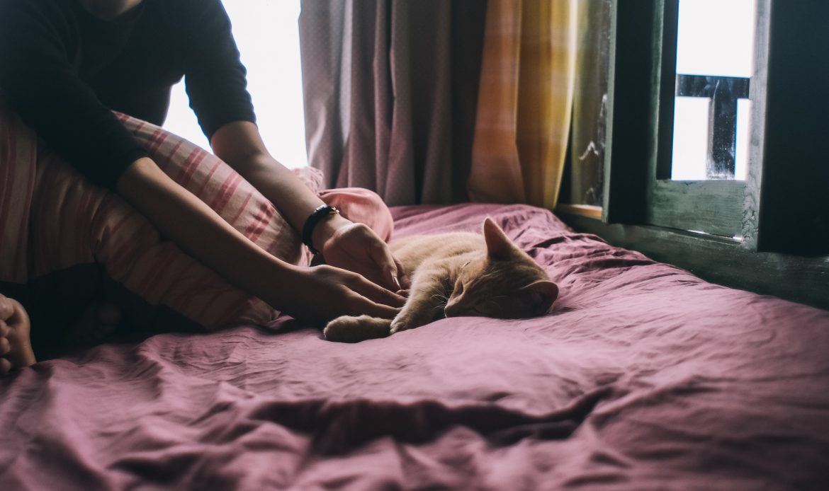 Inilah Beberapa Kelebihan Kasur Kapuk Dibandingkan Spring Bed