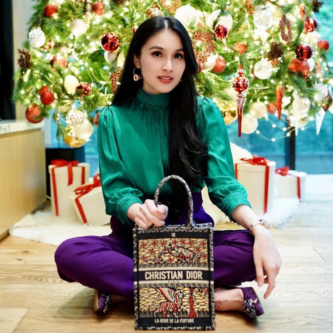 bisnis sandra dewi
