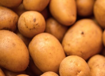 Mengenal Manfaat Kentang Untuk Kesehatan Rambutmu