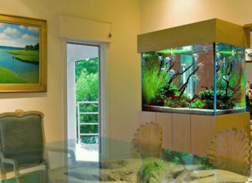 Mengenal Aquascape, Penunjang Interior Hunian Yang Kekinian