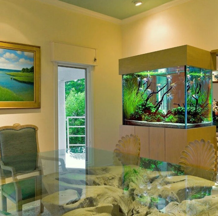 Mengenal Aquascape, Penunjang Interior Hunian Yang Kekinian