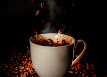 Mengenal Jenis Biji Kopi yang Populer Bagi Masyarakat Indonesia